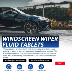 WINDSHIELD GLASS CLEANER TABLETS